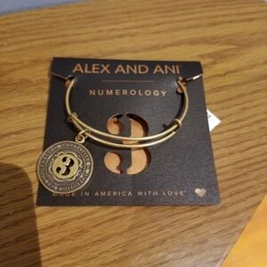 Alex and Ani Numerology 3 Bangle
